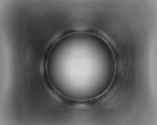 X0000115510586200911061358