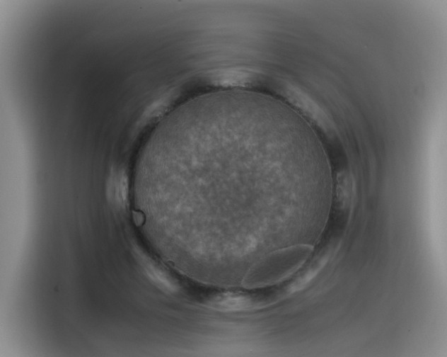 X0000115510589200911061358