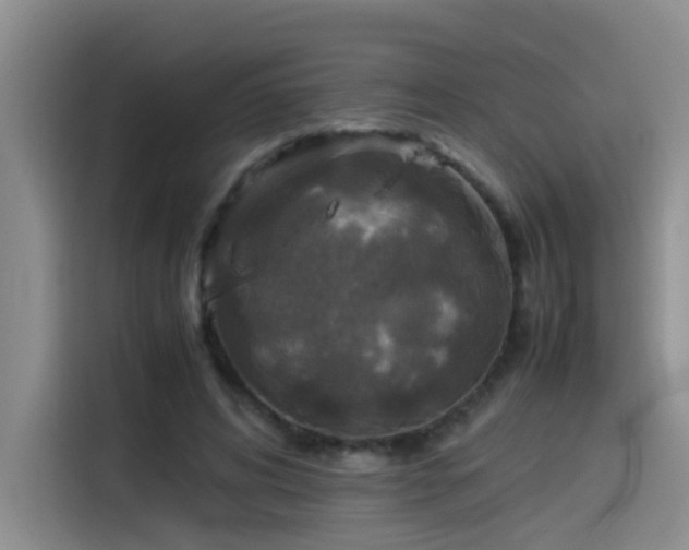X0000115510592200911061358