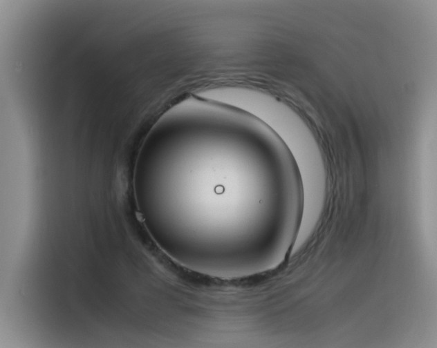 X0000115510593200911061358
