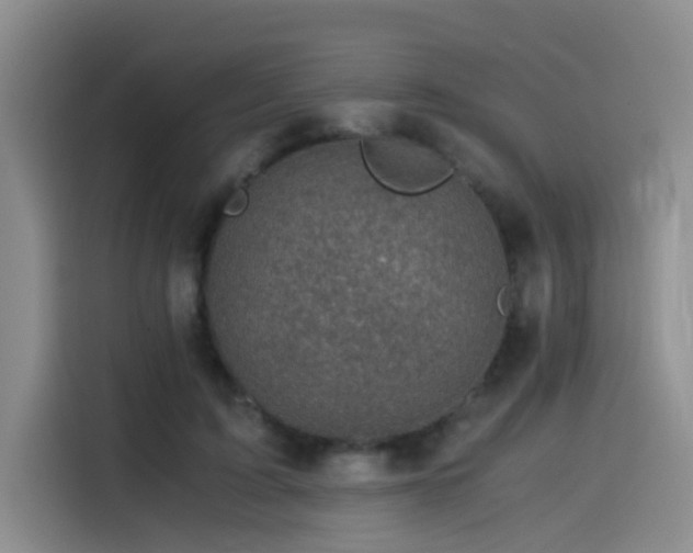 X0000115510595200911061358