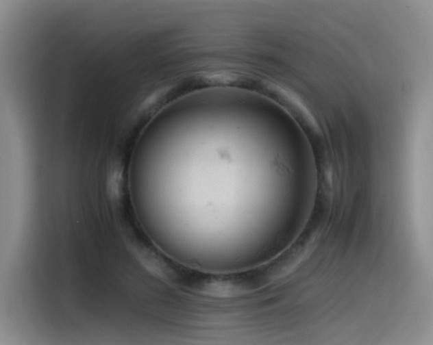 X0000115510596200911061358