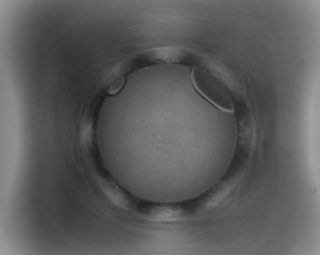 X0000115510597200911061358