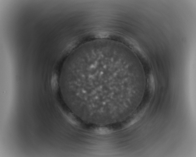 X0000115510598200911061358