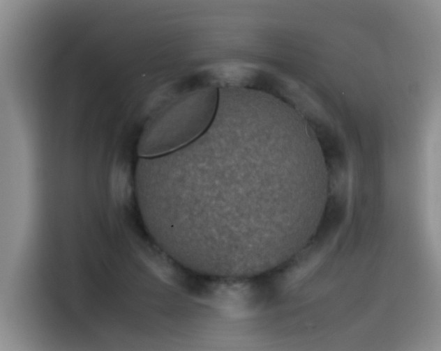X0000115510599200911061358