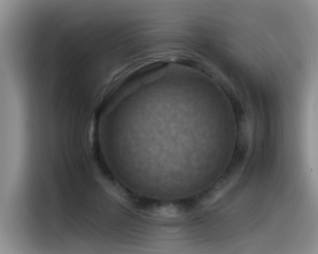 X0000115510600200911061358