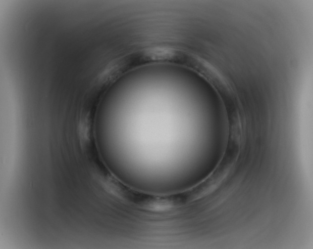 X0000115510604200911061358