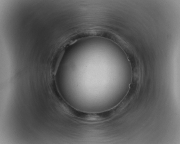 X0000115510605200911061358