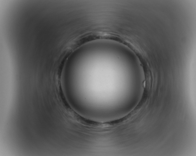 X0000115510609200911061358