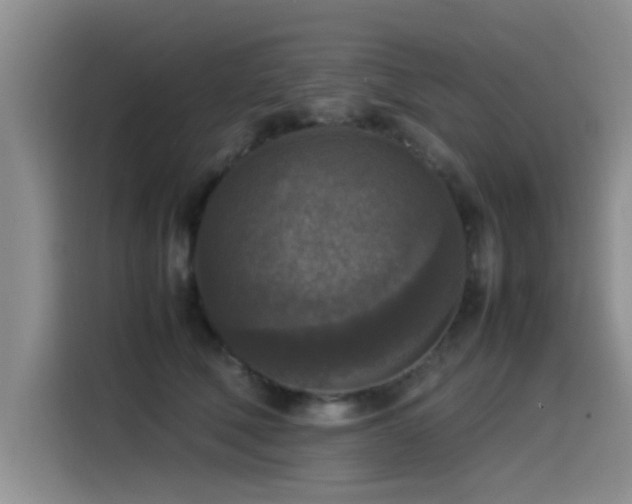 X0000115510610200911061358