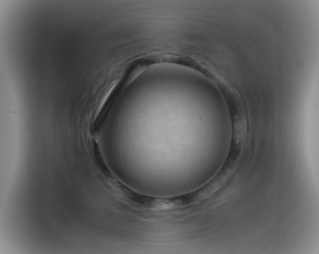 X0000115510613200911061358