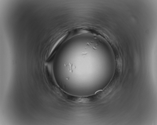 X0000115510617200911061358
