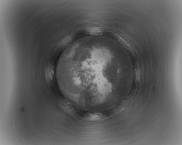X0000115510618200911061358