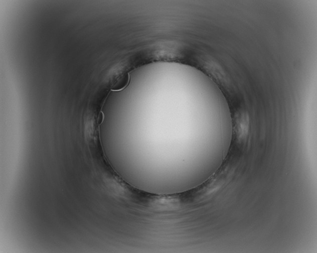 X0000115510619200911061358