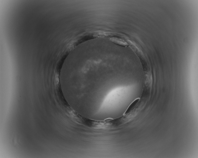 X0000115510621200911061358