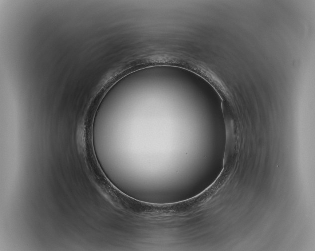 X0000115510626200911061357