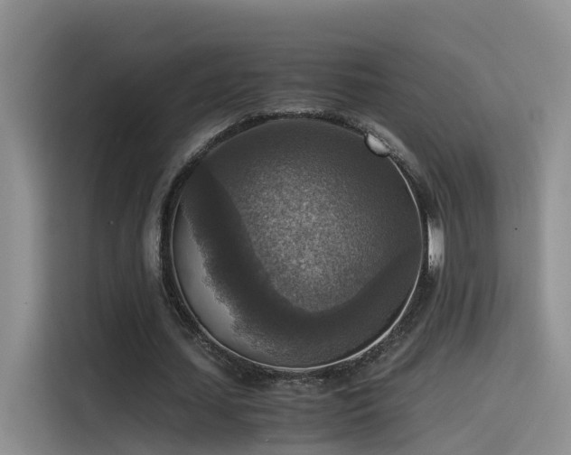 X0000115510627200911061357