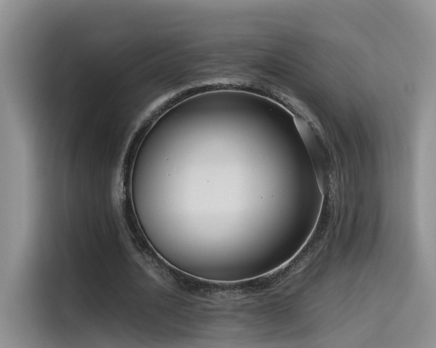 X0000115510628200911061357