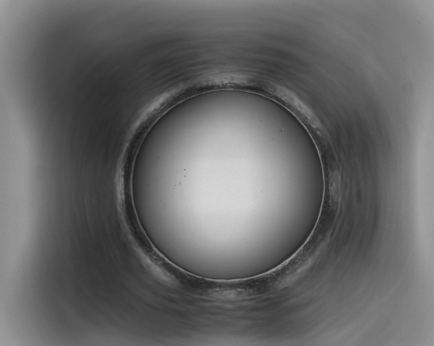 X0000115510629200911061357