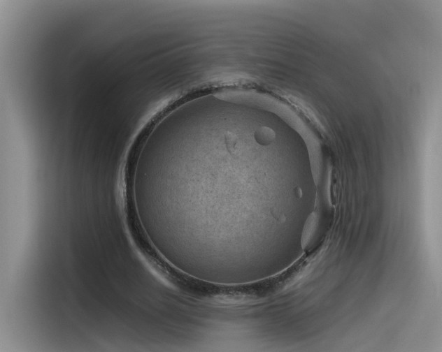 X0000115510630200911061357