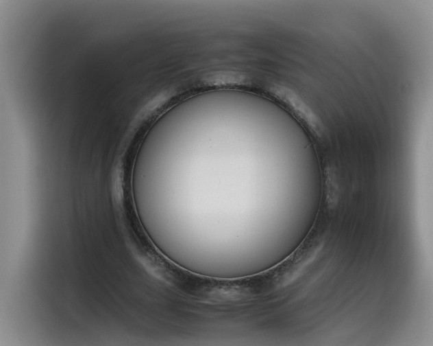 X0000115510631200911061357