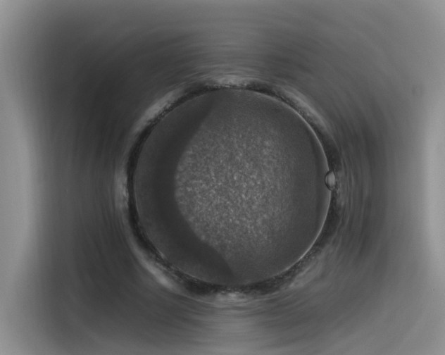 X0000115510634200911061357