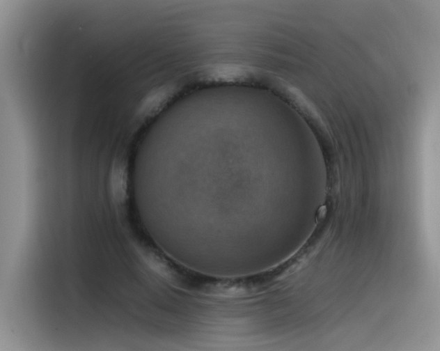 X0000115510640200911061357