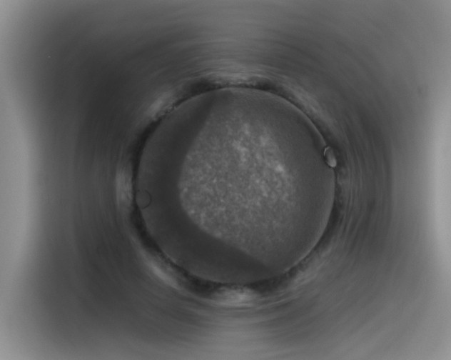 X0000115510642200911061357