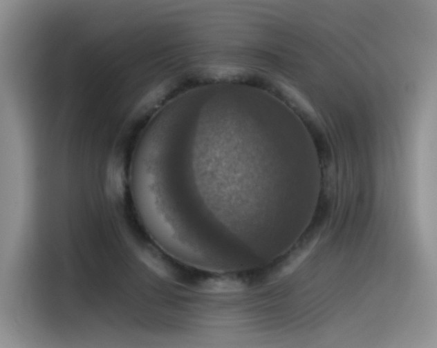 X0000115510644200911061357