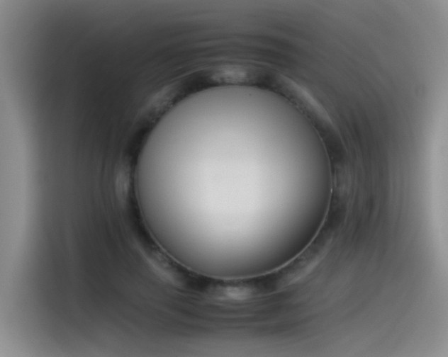X0000115510645200911061357