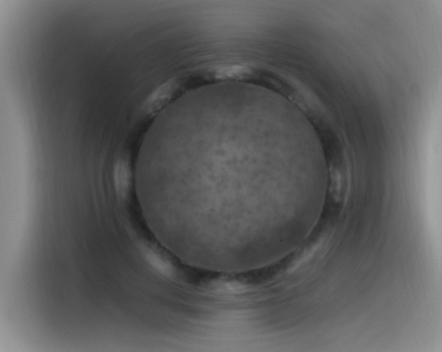 X0000115510648200911061357