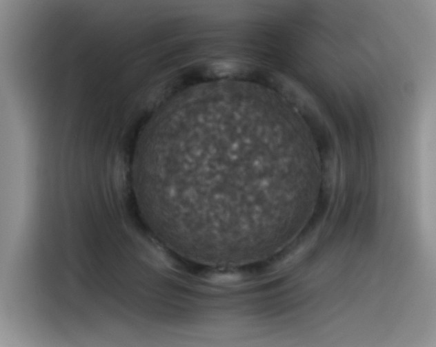 X0000115510653200911061357