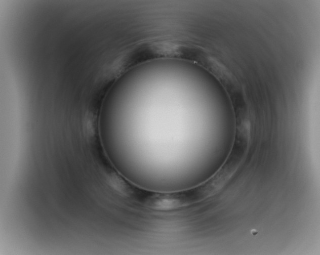 X0000115510658200911061357