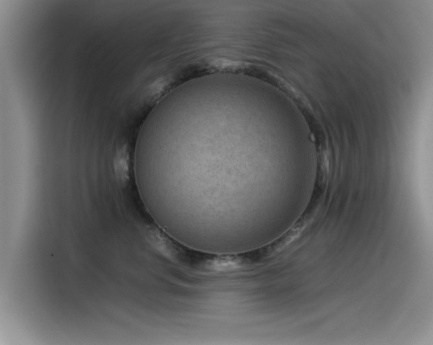 X0000115510668200911061357