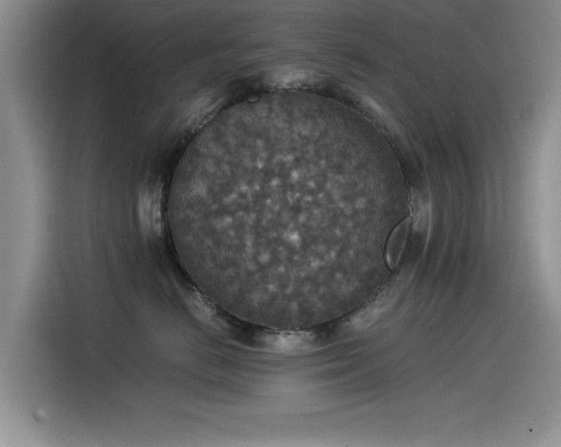 X0000115510670200911061357