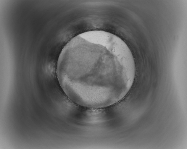 X0000115510672200911061357