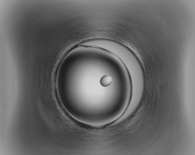 X0000115510673200911061357