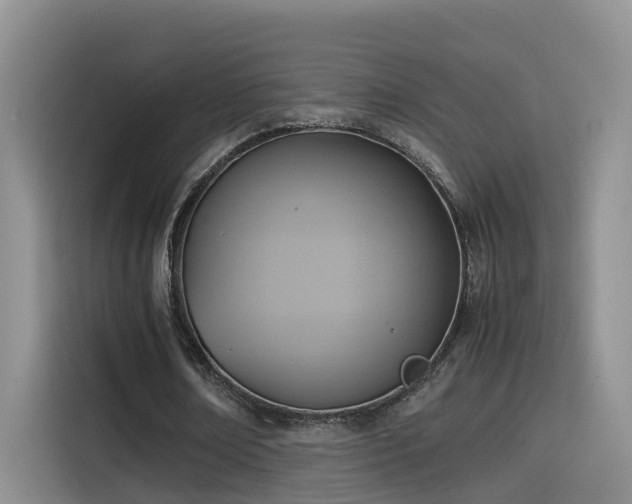 X0000115510674200911061357