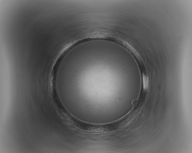 X0000115510675200911061357
