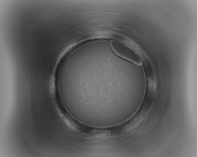 X0000115510676200911061357
