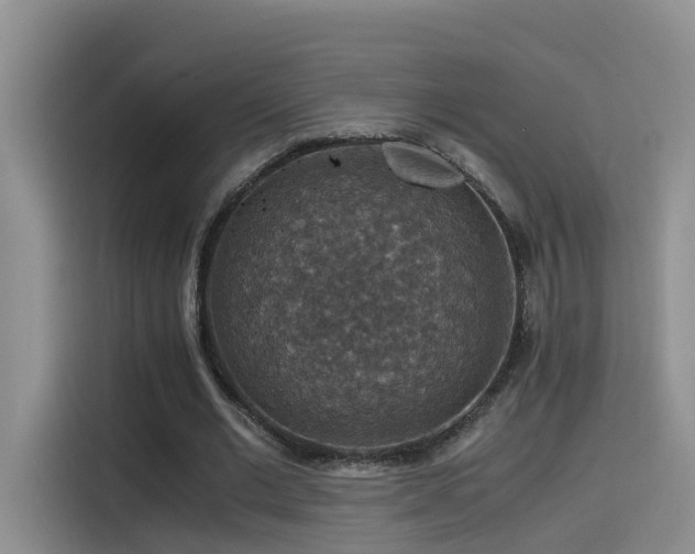 X0000115510677200911061357