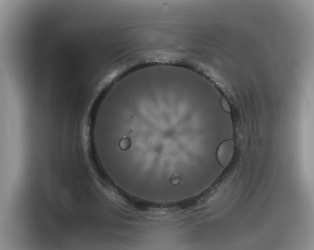 X0000115510679200911061357
