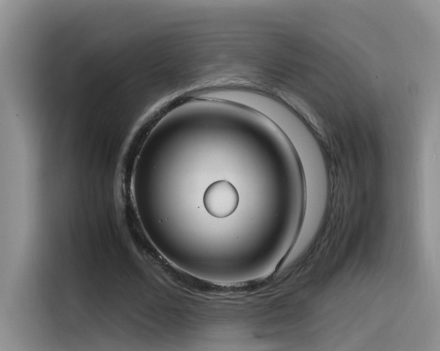 X0000115510680200911061357