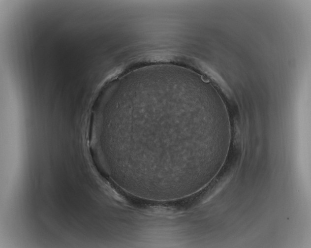 X0000115510681200911061357