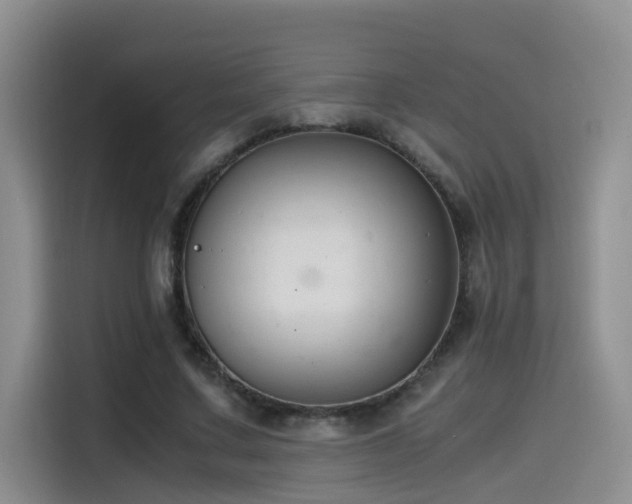 X0000115510683200911061357