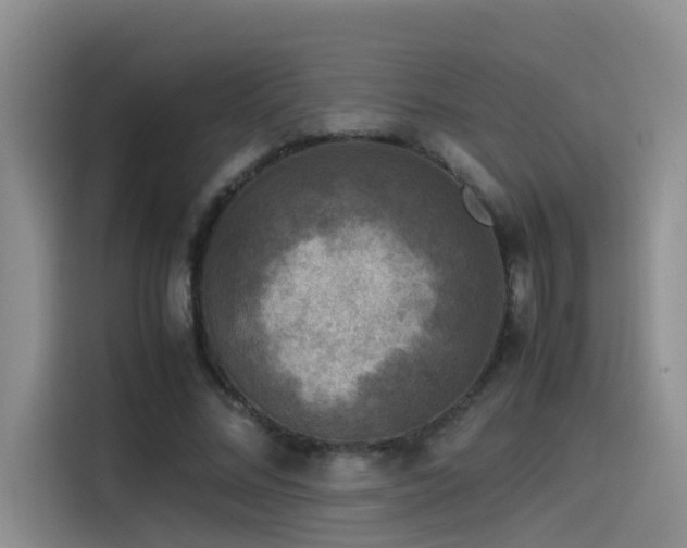 X0000115510684200911061357