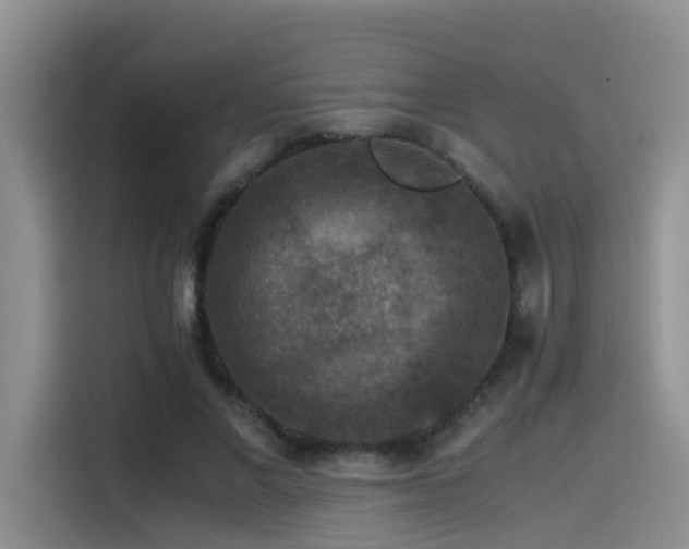 X0000115510685200911061357