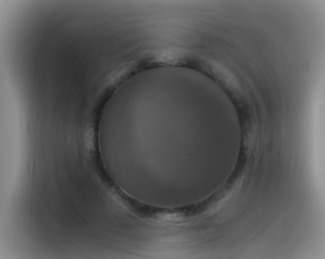 X0000115510689200911061357