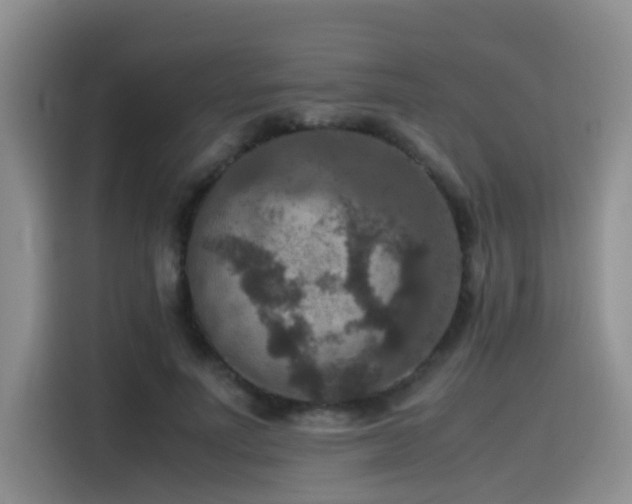 X0000115510691200911061357