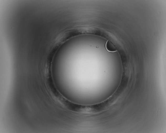 X0000115510695200911061357